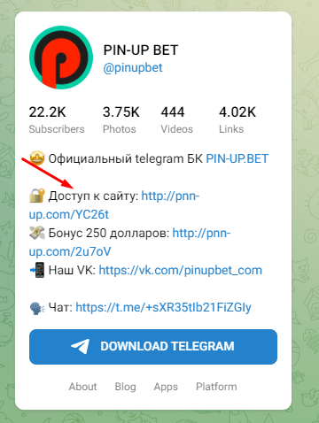 Ссылка на зеркало Пинап на официальном телеграм-канале
