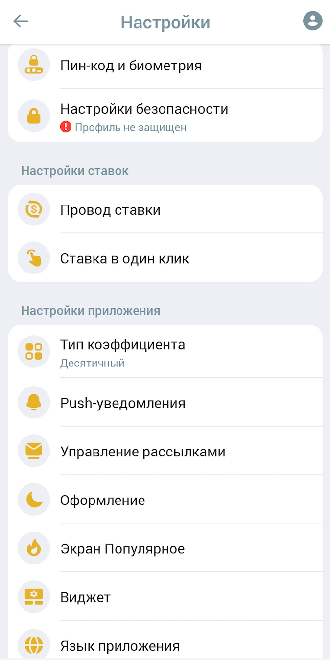 Раздел Настроек