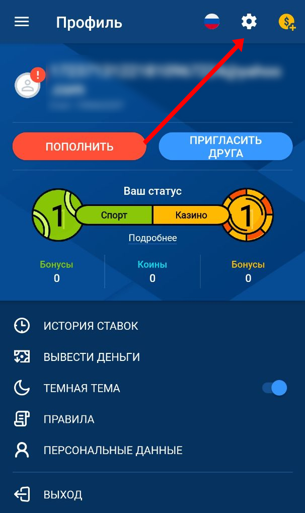 Профиль в приложении Мостбет